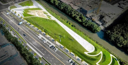 桑椹树病虫防治方法，常见问题解析，实用应对技巧