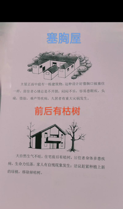 桑椹树病虫防治方法，常见问题解析，实用应对技巧