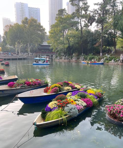 桑椹树病虫防治方法，常见问题解析，实用应对技巧