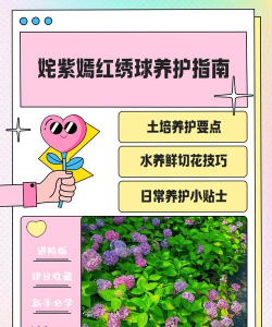 桑椹树病虫防治方法，常见问题解析，实用应对技巧