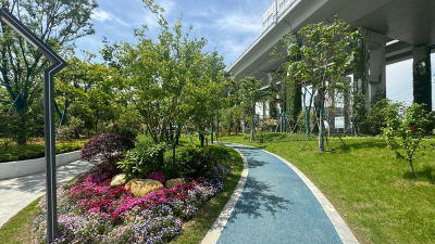 桑椹树病虫防治方法，常见问题解析，实用应对技巧