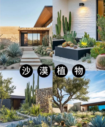 桑椹树病虫防治方法，常见问题解析，实用应对技巧