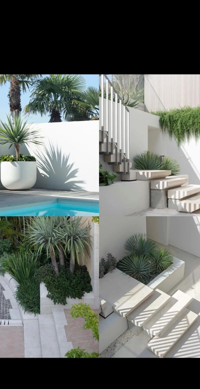 桑椹树病虫防治方法，常见问题解析，实用应对技巧