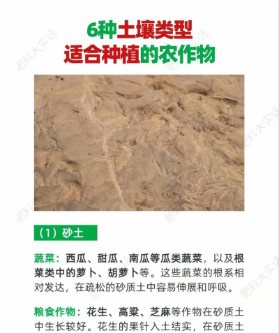 桑椹树病虫防治方法，常见问题解析，实用应对技巧