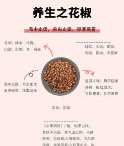 桑椹树病虫防治方法，常见问题解析，实用应对技巧