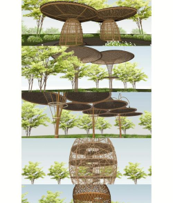 桑椹树病虫防治方法，常见问题解析，实用应对技巧