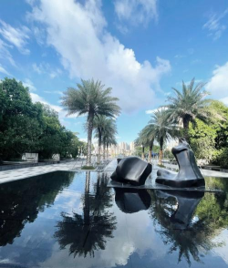 桑椹树病虫防治方法，常见问题解析，实用应对技巧