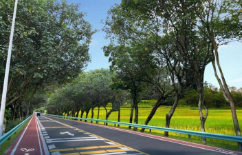 桑椹树病虫防治方法，常见问题解析，实用应对技巧