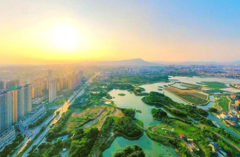 草果栽培，掌握关键技巧，实现高产稳收