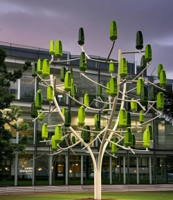 草果栽培，掌握关键技巧，实现高产稳收