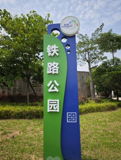 草果栽培，掌握关键技巧，实现高产稳收