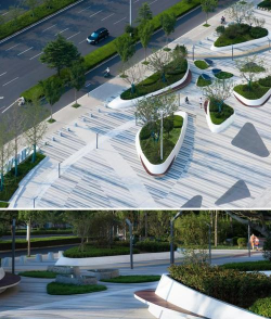 名贵树白蚁防治方法，识别早期迹象，采取有效保护