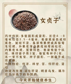 紫荆树白蚁怎么防治，找准方法，避免树木受损