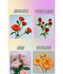 紫荆树白蚁怎么防治，找准方法，避免树木受损