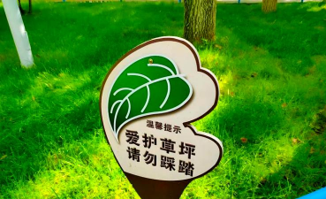 紫荆树白蚁怎么防治，找准方法，避免树木受损