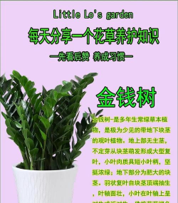济南正宗绿化施工设计，专业团队打造，提升城市绿化品质