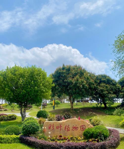 东莞室外绿化设计，提升城市颜值，打造宜居环境