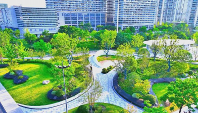 济南正宗绿化施工设计，专业团队打造，提升城市绿化品质