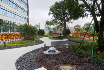 玫瑰花怎么养肝，了解正确方法，避免常见误区