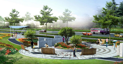 玫瑰花怎么养肝，了解正确方法，避免常见误区