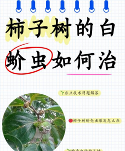 农业防治的树,常见问题解答,实用方法分享 农业防治的树,常见问题解答,实用方法分享