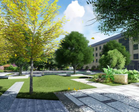 桑椹树病虫防治方法，常见问题解析，实用应对技巧