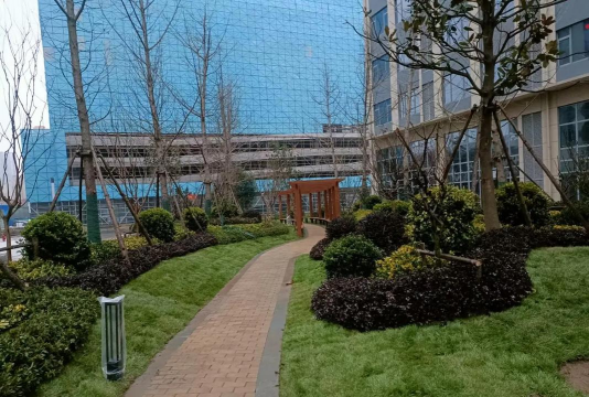 姜堰大道绿化设计，提升城市形象，改善居民生活