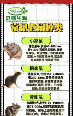 古树防治老鼠，常见方法盘点，实用技巧分享