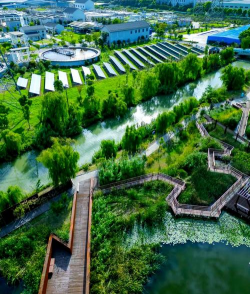 绿化美化港口设计，提升环境品质，打造生态港口