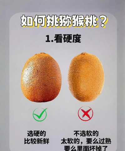 桑椹树病虫防治方法，常见问题解析，实用应对技巧