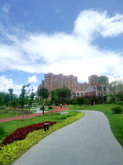 桑椹树病虫防治方法，常见问题解析，实用应对技巧