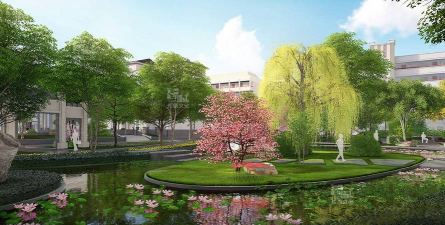 桑椹树病虫防治方法，常见问题解析，实用应对技巧