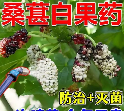 沉香树病害防治方法，识别常见病害，掌握有效应对措施