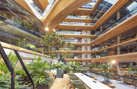 沉香树病害防治方法，识别常见病害，掌握有效应对措施