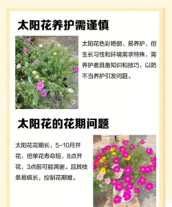 沉香树病害防治方法，识别常见病害，掌握有效应对措施
