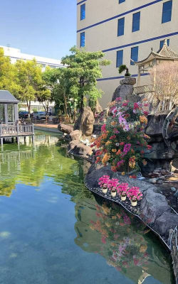 树腐烂病防治，识别早期症状，掌握有效方法