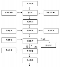 树腐烂病防治，识别早期症状，掌握有效方法