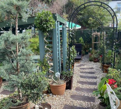 树腐烂病防治，识别早期症状，掌握有效方法