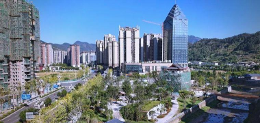 树腐烂病防治，识别早期症状，掌握有效方法