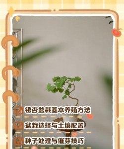 树腐烂病防治，识别早期症状，掌握有效方法