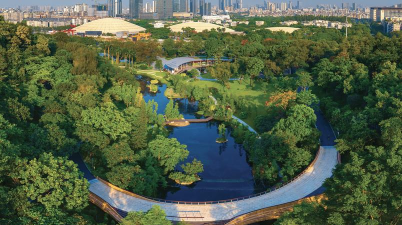 道路绿化设计要求，提升城市形象，改善出行体验