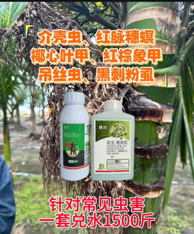 道路绿化设计要求，提升城市形象，改善出行体验