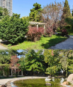 甜玉米栽培技术要点，选种育苗，田间管理