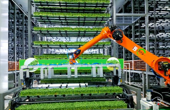 栀子花怎么样养，新手入门指南，轻松掌握技巧