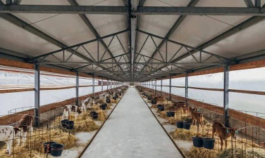 玫瑰海棠花怎么养，掌握关键技巧，轻松养出好状态