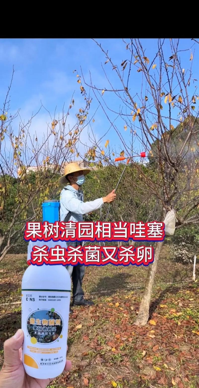 桑椹树病虫防治方法，常见问题解析，实用应对技巧