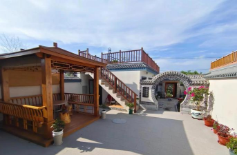 草果栽培，掌握关键技巧，实现高产稳收