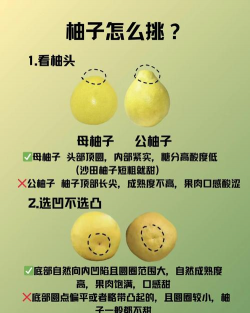 草果栽培，掌握关键技巧，实现高产稳收