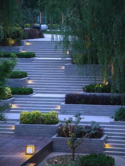 草果栽培，掌握关键技巧，实现高产稳收