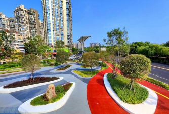 桑椹树病虫防治方法，常见问题解析，实用应对技巧